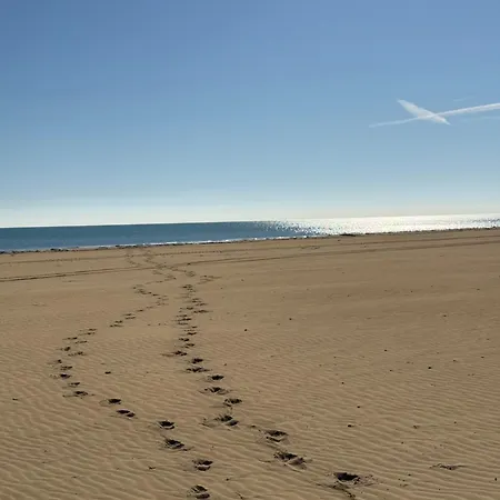 Sea La Vie Sabbiadoro * リニャーノ・サッビアドーロ