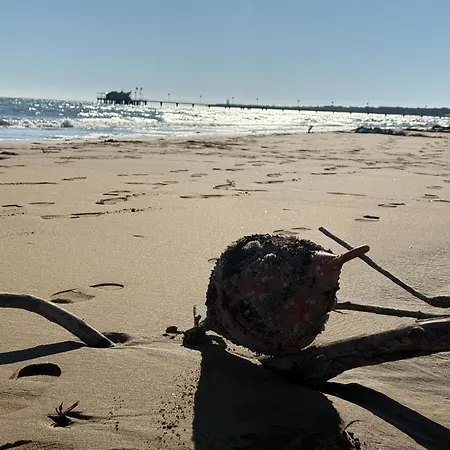 Sea La Vie Sabbiadoro *